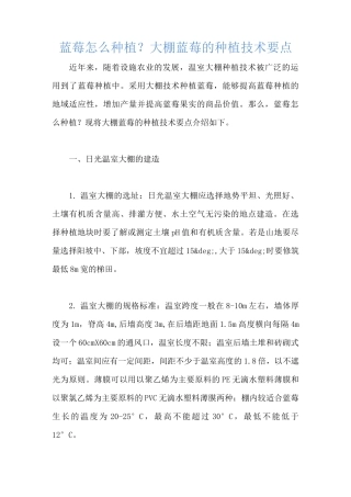 蓝莓怎么种植？大棚蓝莓的种植技术要点