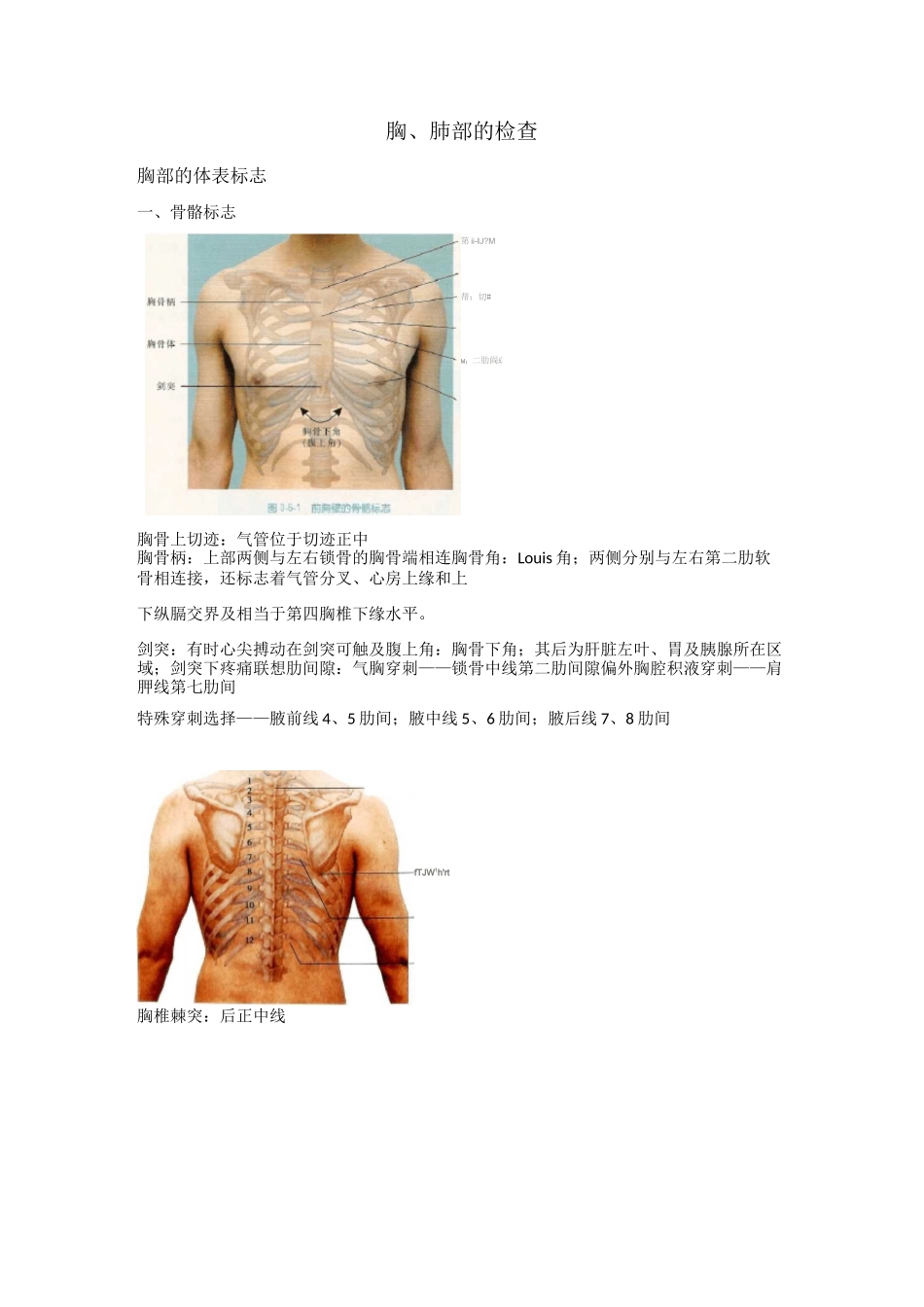 诊断学整理——胸、肺部_第1页