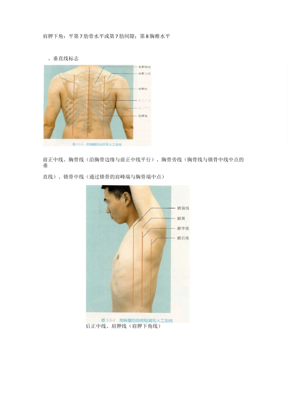 诊断学整理——胸、肺部_第2页