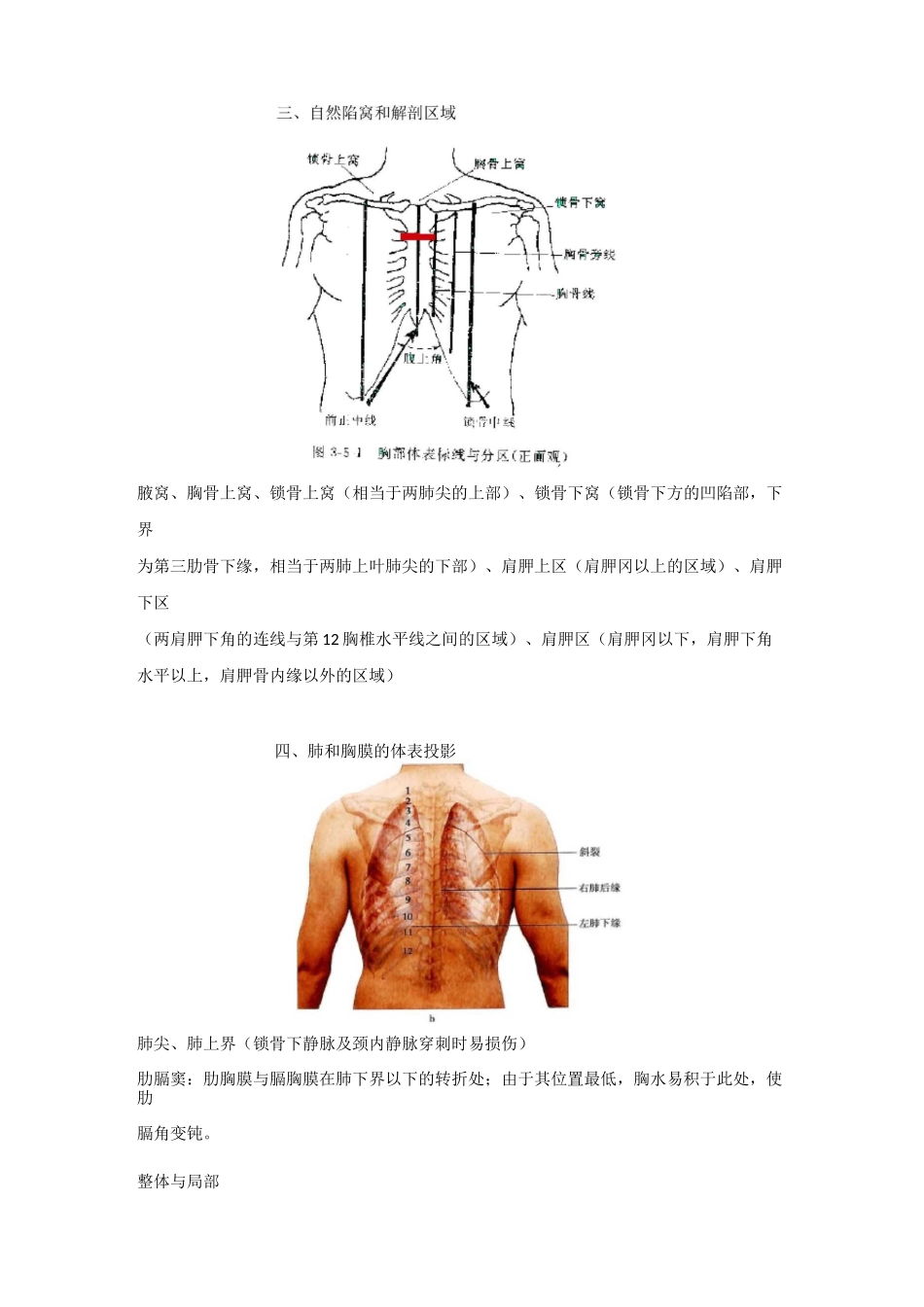 诊断学整理——胸、肺部_第3页
