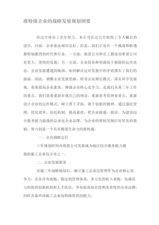 特级企业的战略发展规划纲要