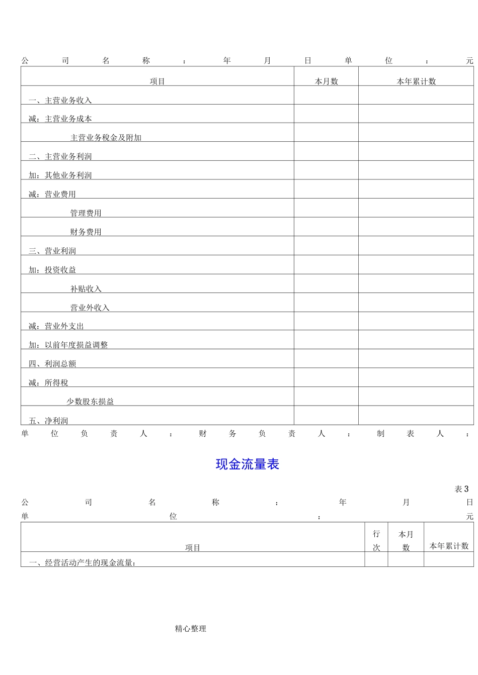 财务报表模板[全套]_第3页