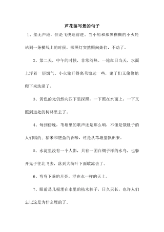 芦花荡写景的句子