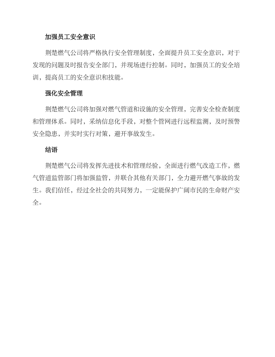 荆楚燃气整改方案_第2页