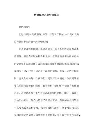 营销经理升职申请报告
