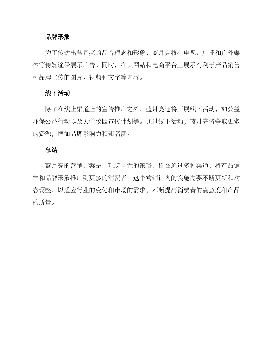 蓝月亮营销方案_第2页