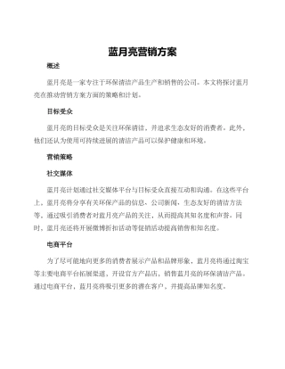 蓝月亮营销方案