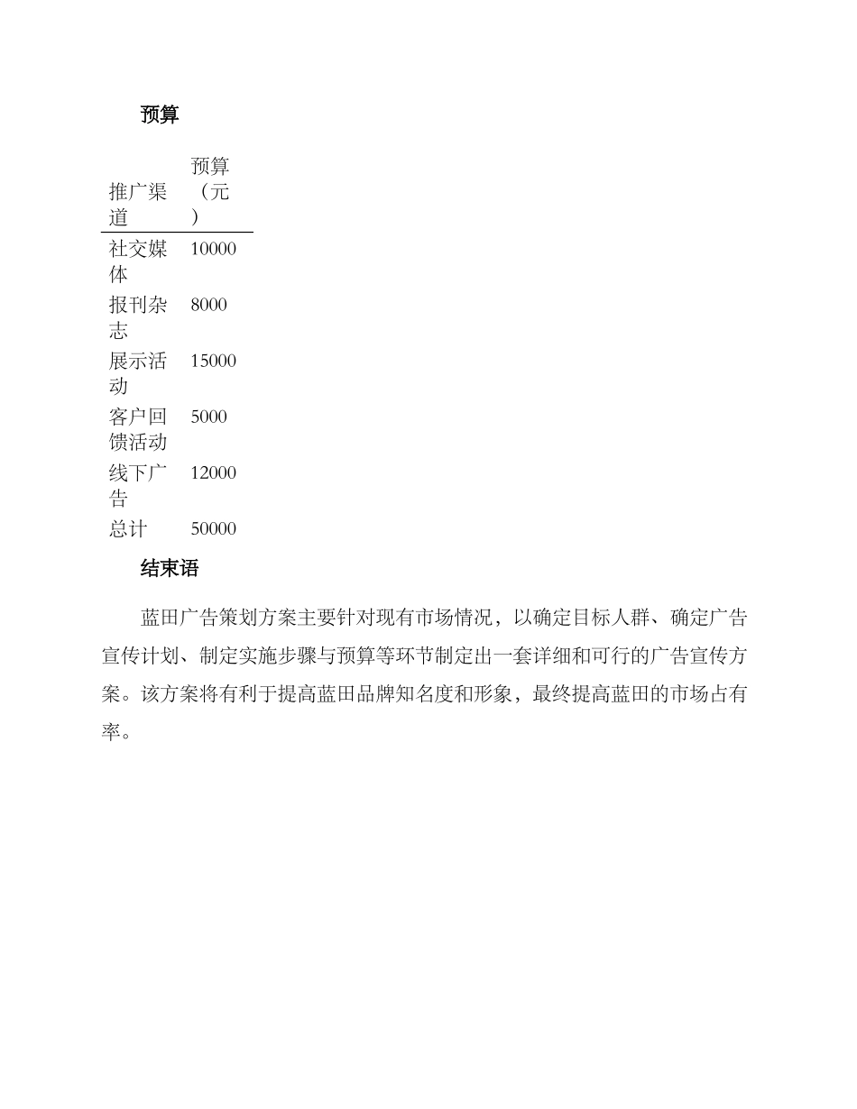 蓝田广告策划方案_第3页