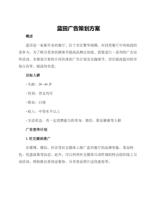 蓝田广告策划方案