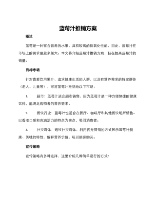 蓝莓汁推销方案
