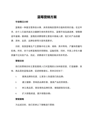 蓝莓营销方案