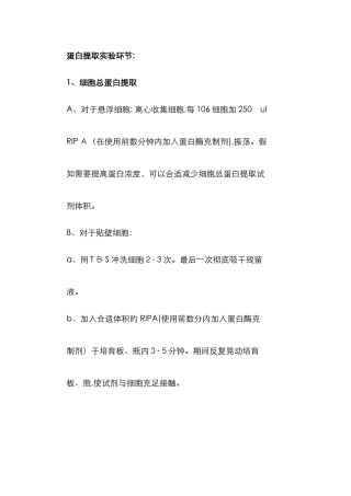 蛋白提取实验步骤