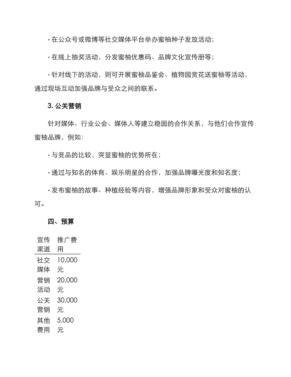 蜜柚营销宣传方案_第2页