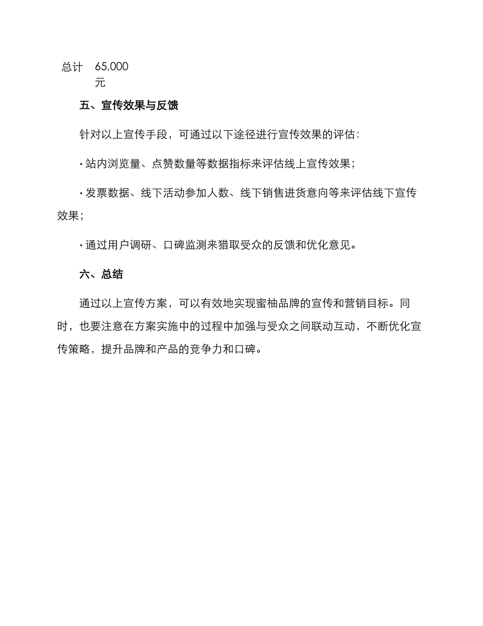 蜜柚营销宣传方案_第3页