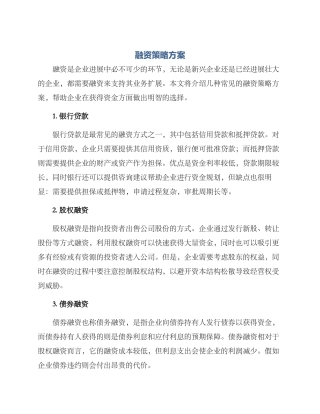 融资策略方案