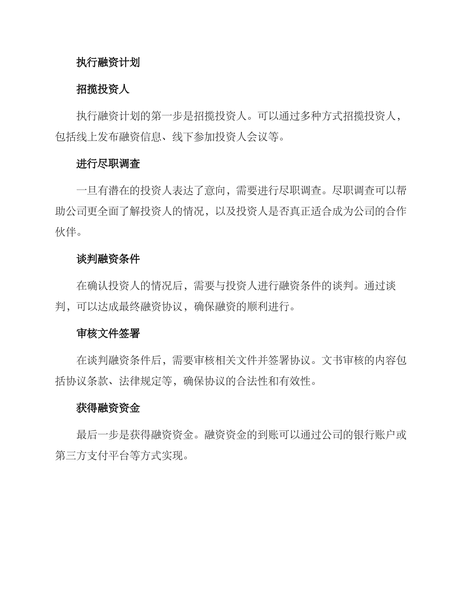 融资计划执行方案_第2页