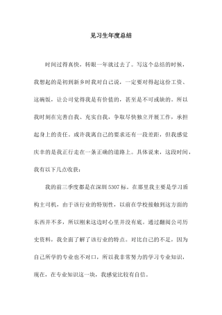 见习生年度总结