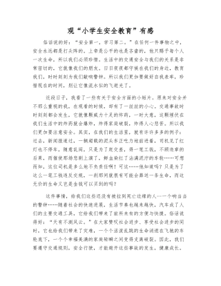 观“小学生安全教育”有感