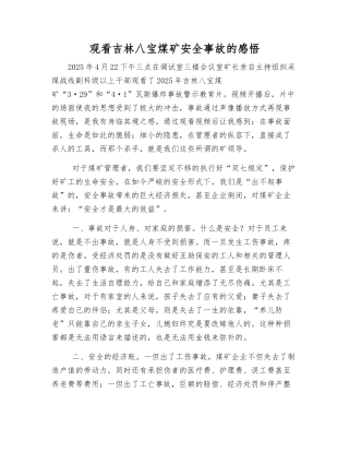 观看吉林八宝煤矿安全事故的感想