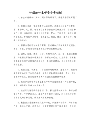 计划统计主管安全责任制