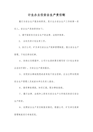 计生办主任安全生产责任制