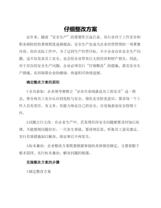 认真整改方案