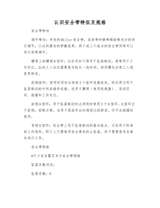 认识安全带特征及规格