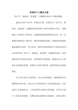讲树促个人整改方案