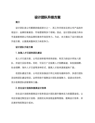 设计团队升级方案