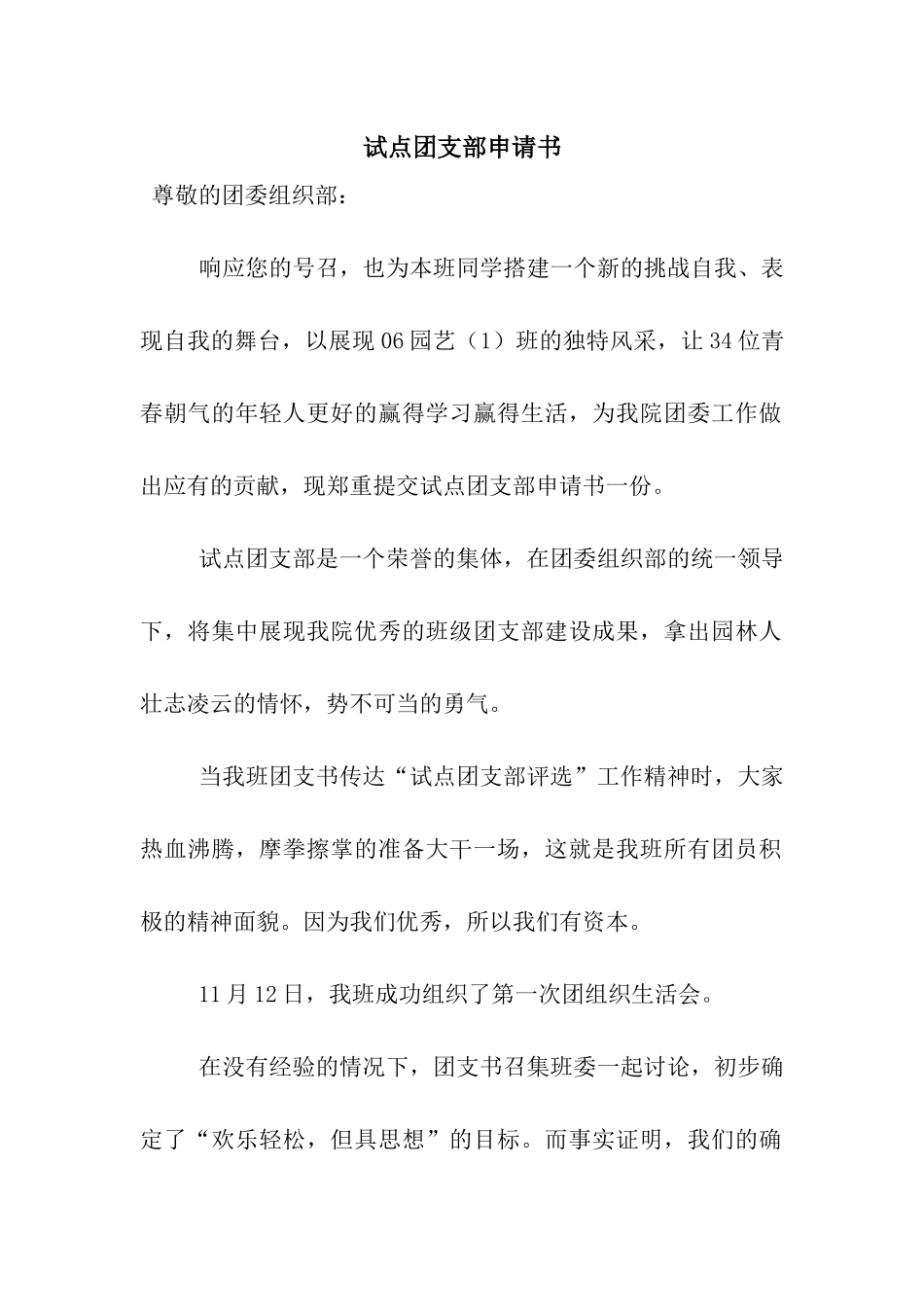 试点团支部申请书_第1页