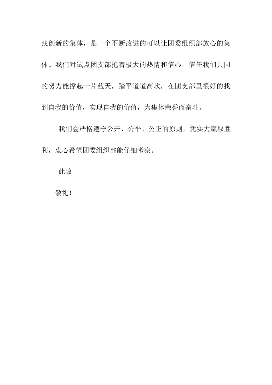 试点团支部申请书_第3页