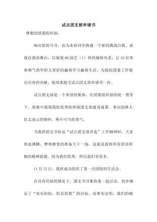 试点团支部申请书