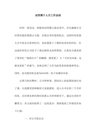 试用期个人月工作总结