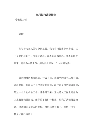 试用期内辞职报告