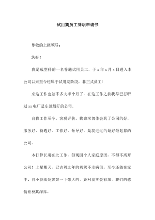 试用期员工辞职申请书