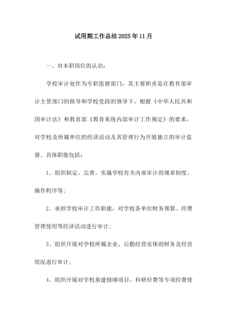 试用期工作总结2025年11月