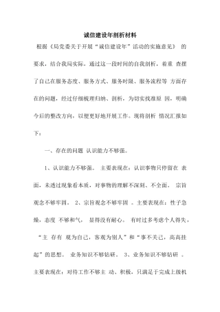 诚信建设年剖析材料