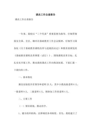 课改工作自查报告