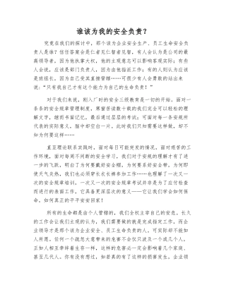 谁该为我的安全负责？