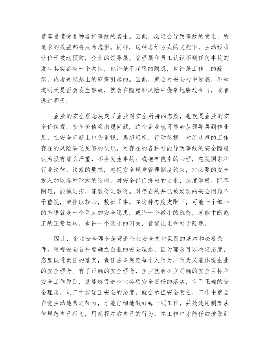 谈企业的安全理念_第2页