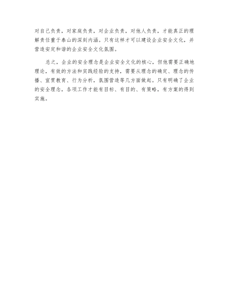 谈企业的安全理念_第3页