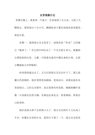 豆芽观察日记