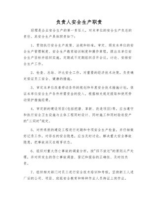 负责人安全生产职责