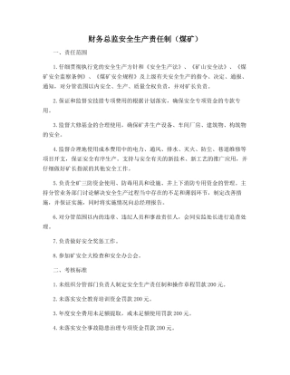 财务总监安全生产责任制