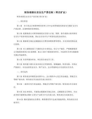 财务部部长安全生产责任制