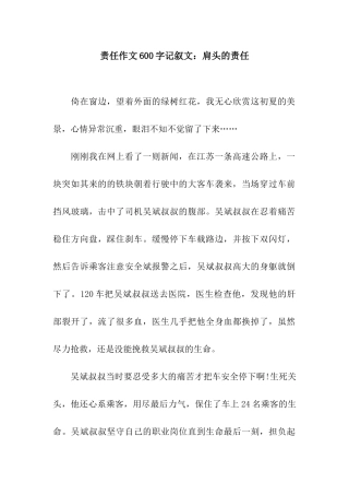责任作文600字记叙文肩头的责任