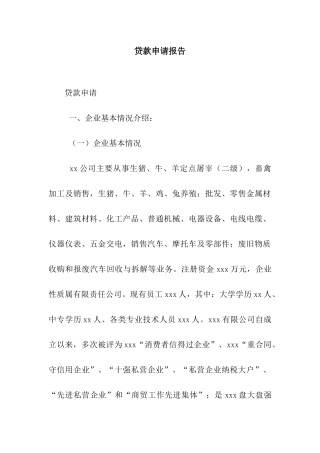 贷款申请报告