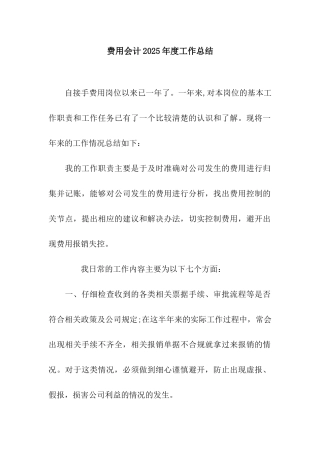 费用会计2025年度工作总结