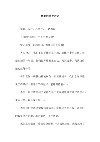 赞美的学生评语
