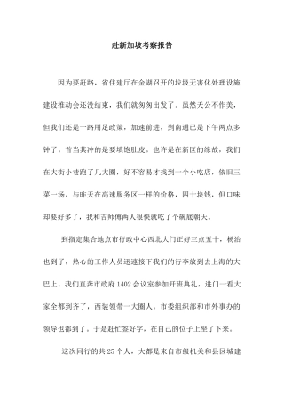 赴新加坡考察报告